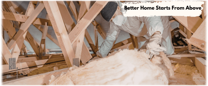 Attic Cleaning Weston FL